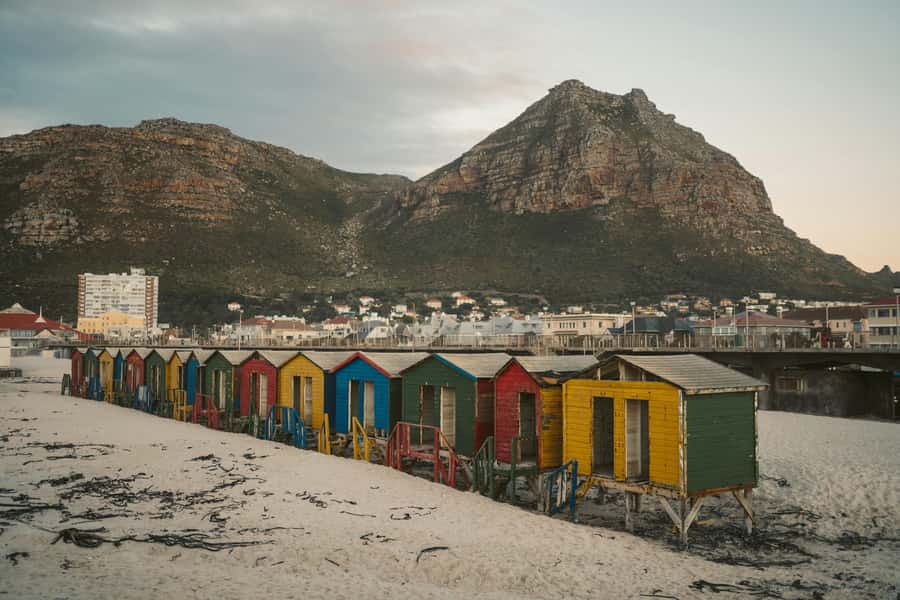Full day Cape Penisula Tour: Chapman's Peak - Cape Point - A full day built around the coast