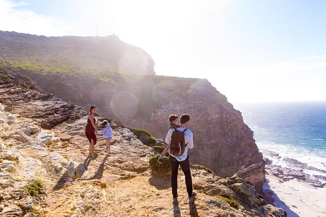 Full day Cape Point + Constantia Wine Tour with Private Transfer - Boulders Beach and the African penguin colony