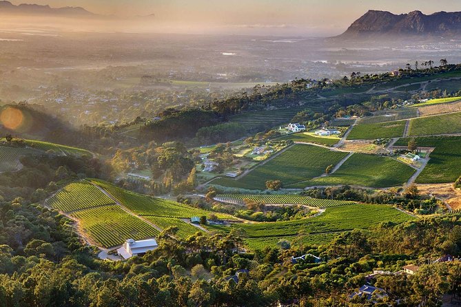 Full day Cape Point + Constantia Wine Tour with Private Transfer - Chapman’s Peak Drive, Cape Town’s great coastal curtain-raiser