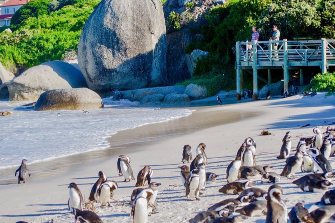 Full Day Cape Point Sightseeing Tour - Entering Cape Point Nature Reserve