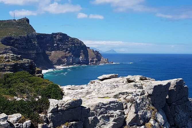 Full Day Cape Point Sightseeing Tour - Wildlife, birds, and the road through the peninsula