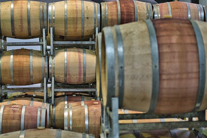 Full Day Cape Winelands Private Tour - Tokara closes the day above Stellenbosch