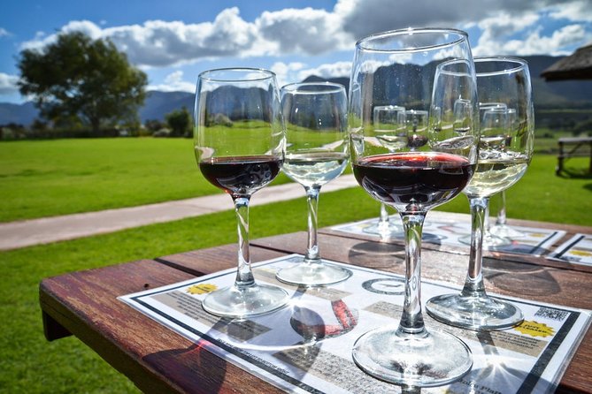 Full day Cape Winelands ( Stellenbosch and Franschoek ) - DeMorgenzon and the first Chenin Blanc tasting