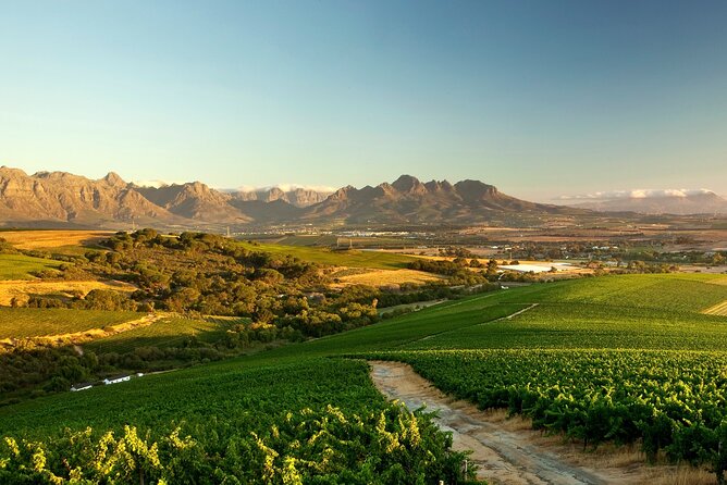Full-Day Cape Winelands Tour - Leaving Cape Town for Stellenbosch
