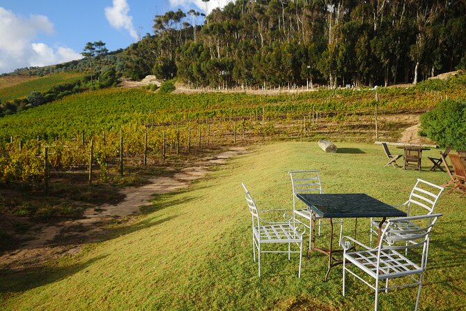 Full-Day Constantia Wine Tour from Cape Town - The mountain views are part of the experience