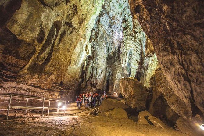 Full-Day Cradle of Humankind Guided Tour from Johannesburg or Pretoria - Who should book this Cradle tour?