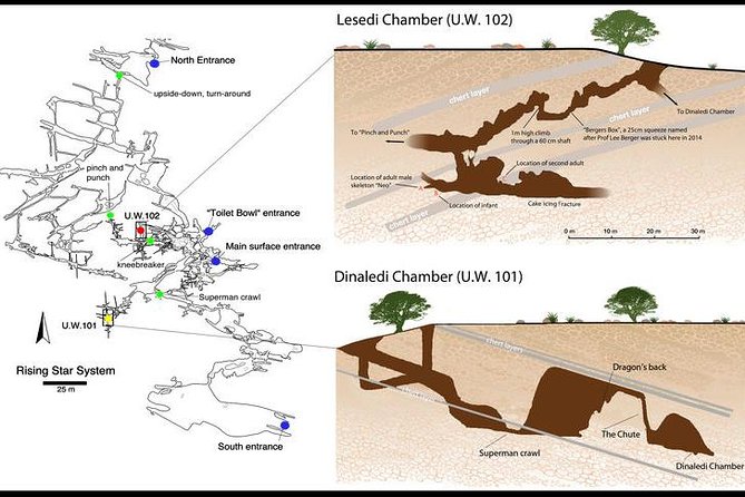 Full-Day Cradle of Humankind Guided Tour from Johannesburg or Pretoria - Sterkfontein Caves and the challenge underground