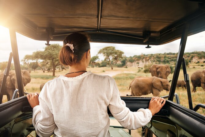 Full Day Exquisite Pilanesberg Safari from Johannesburg - Key points to know before booking