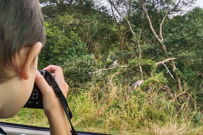Full-Day Family Hluhluwe iMfolozi Park Safari Experience - Key points for your family safari