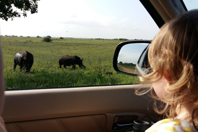 Full-Day Family Hluhluwe iMfolozi Park Safari Experience - The 6:00 am departure from St Lucia