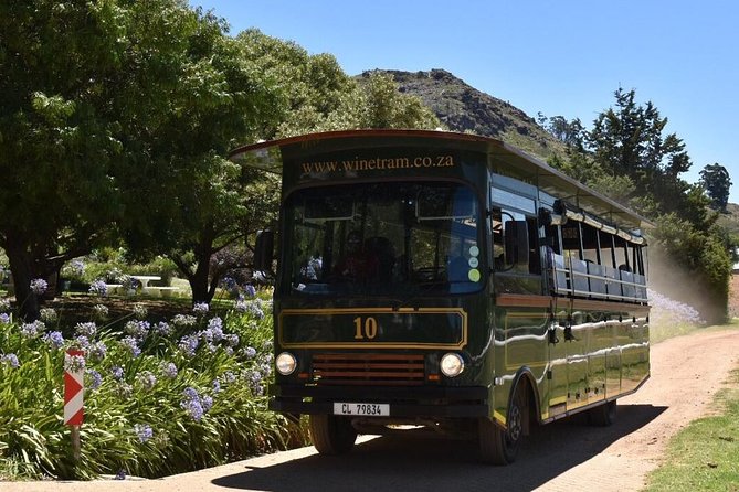 Full-Day Franschhoek Hop On Hop Off Wine Tram Tour from Cape Town - Who will enjoy this wine tram tour