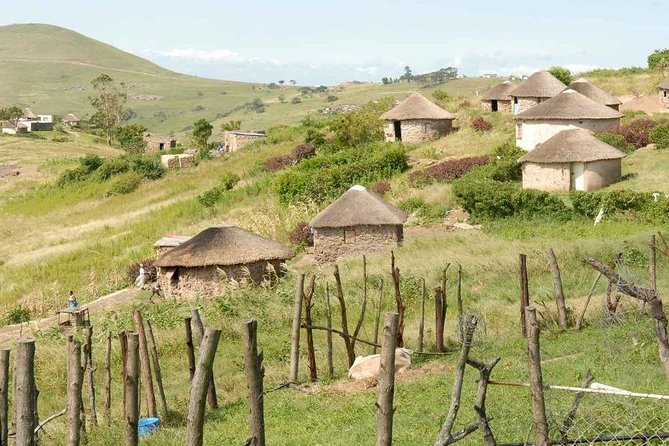 Full day - Hluhluwe Imfolozi Game Reserve 1 Day Tour From Durban - Cancellation and timing details worth checking