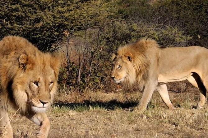 Full day - Hluhluwe Imfolozi Game Reserve 1 Day Tour From Durban - Entering the reserve in a 4x4