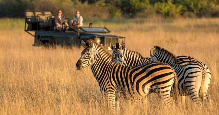 Full Day Hluhluwe Imfolozi Game Reserve Tour from Durban - Booking details worth checking