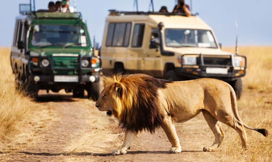 Full Day Hluhluwe Imfolozi Game Reserve Tour from Durban - Why this reserve makes the long drive worthwhile