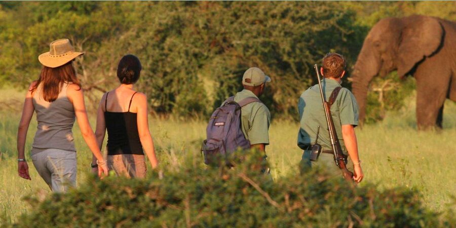 Full Day Hluhluwe Imfolozi Game Reserve Tour from Durban - Who should choose this safari