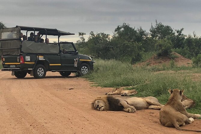 Full Day Kruger National Park Game Drive - Key points to know before you book