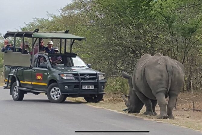Full Day Kruger National Park Game Drive - What the guides add to the day