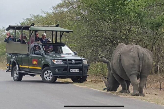 Full Day Kruger National Park Game Drive - The main drawbacks to weigh