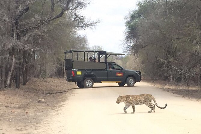 Full Day Kruger National Park Game Drive - Who will enjoy this Kruger game drive