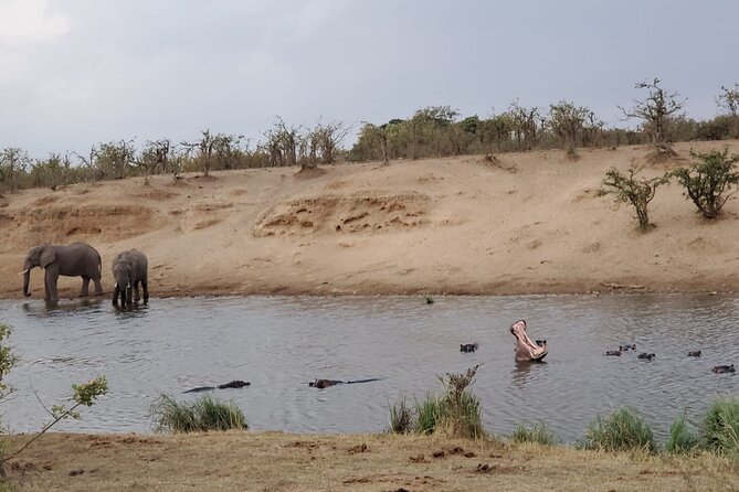 Full Day Kruger National Park Game Drive - Entering Kruger with a private vehicle