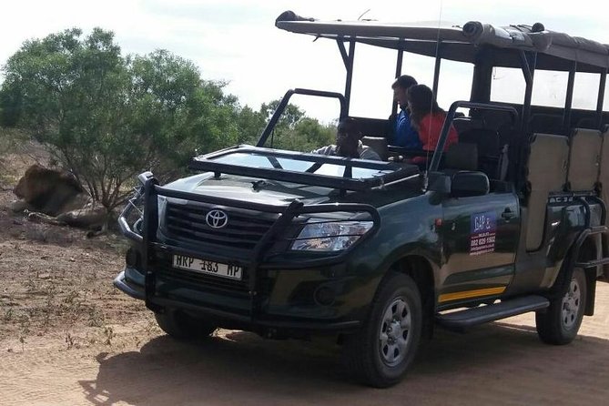 Full-Day Kruger National Park Safari - Why a full day at Kruger makes sense