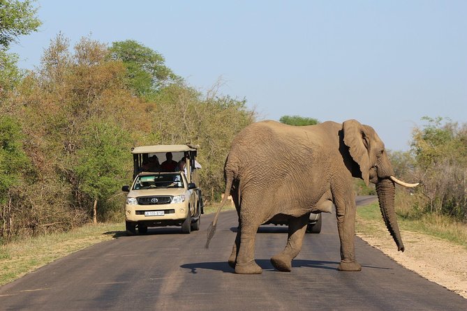 Full Day Kruger Park Safari From Hazyview - Breakfast at The Parks Shop, with costs to plan for