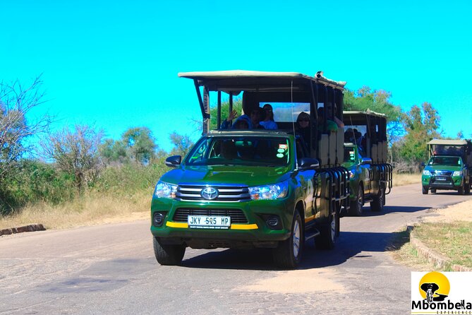 Full-Day Kruger Park Safari from Nelspruit, Whiteriver or Hazyview - Searching for the Big Five