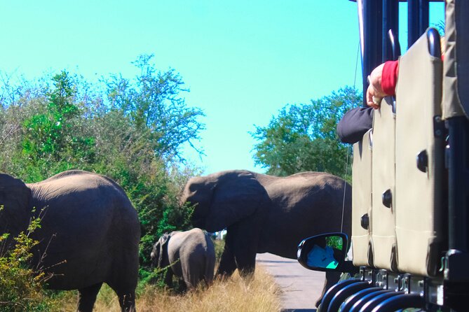 Full-Day Kruger Park Safari from Nelspruit, Whiteriver or Hazyview - Is $112.49 a fair price?