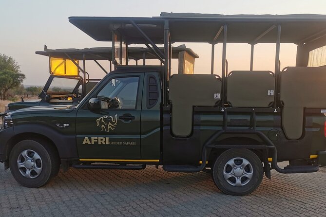 Full Day Kruger Park Wildlife Safari from Hoedspruit - How the guide shapes the day