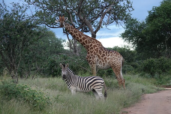 Full Day Kruger Park Wildlife Safari from Hoedspruit - Entering Kruger National Park
