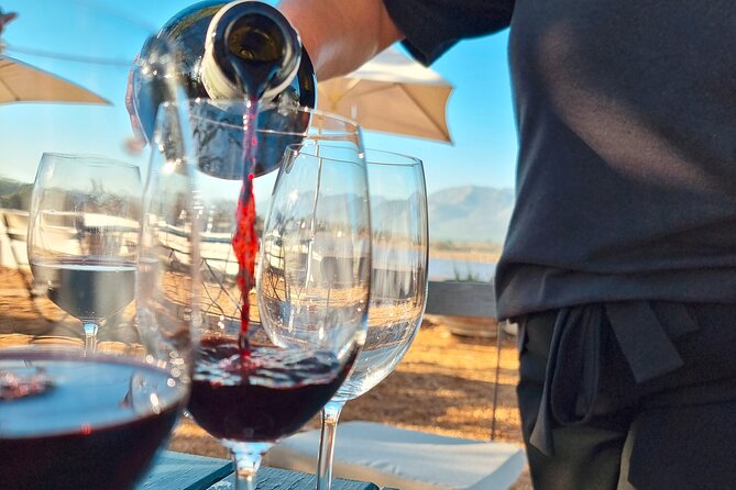 Full Day Mystery Tour - Three estates, varied pairings, and the surprise between stops