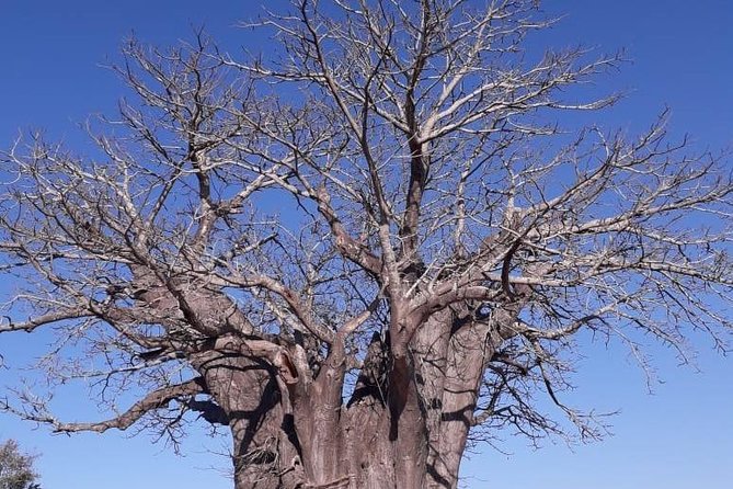 Full Day Panorama Hike and Scenic Tour minimum 2 people - Reaching Blyde River Canyon Nature Reserve