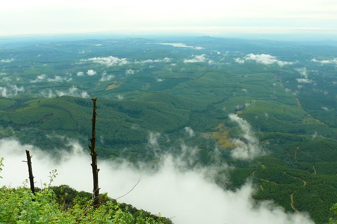 Full-Day Panorama Tour from Hazyview - God’s Window brings the biggest viewpoint