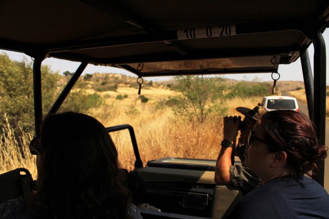Full Day Pilanesberg Experience in Open Vehicle - Key points to know before booking