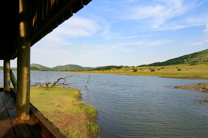 Full Day Pilanesberg Experience in Open Vehicle - Why Pilanesberg works for a one-day safari