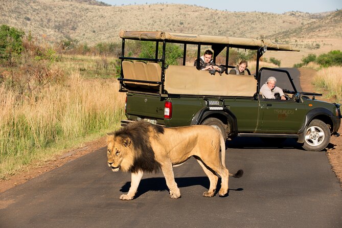 Full Day Pilanesberg Experience in Open Vehicle - Finding the Big Five at Pilanesberg