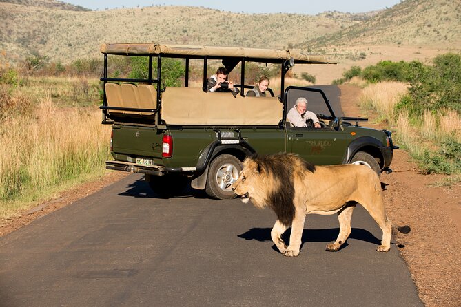 Full Day Pilanesberg Experience in Open Vehicle - Guides can make or break the day
