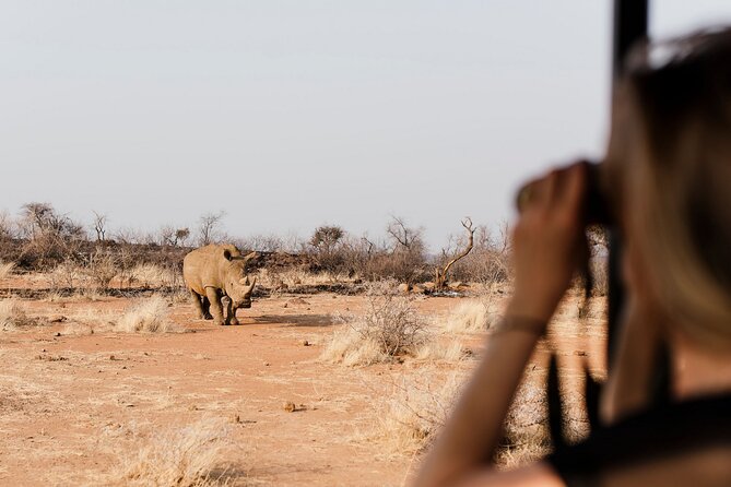 Full Day Pilanesberg Safari Adventure - Key points to know before booking