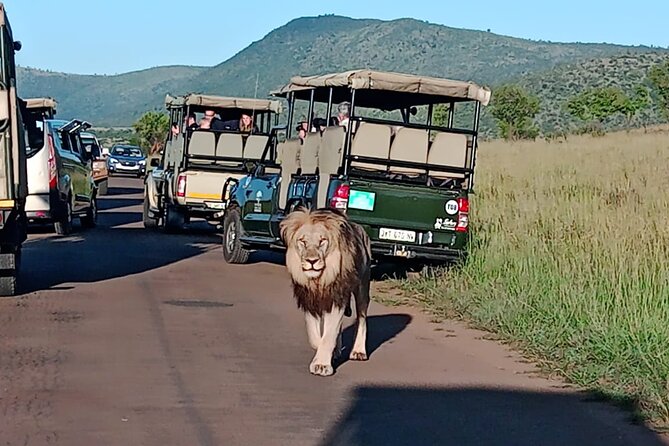 Full Day Pilanesberg Safari Adventure - Meeting at Bakubung Gate or Sun City Resort