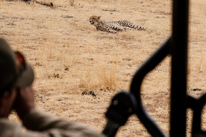 Full Day Pilanesberg Safari Adventure - The afternoon drive and the return to Bosele Camp