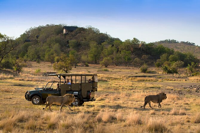 Full Day Pilanesberg Safari Adventure - The morning drive, two and a half to three hours in the park