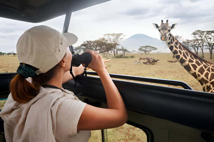 Full-Day Pilanesberg Safari from Sun City - Why Pilanesberg Works So Well From Sun City