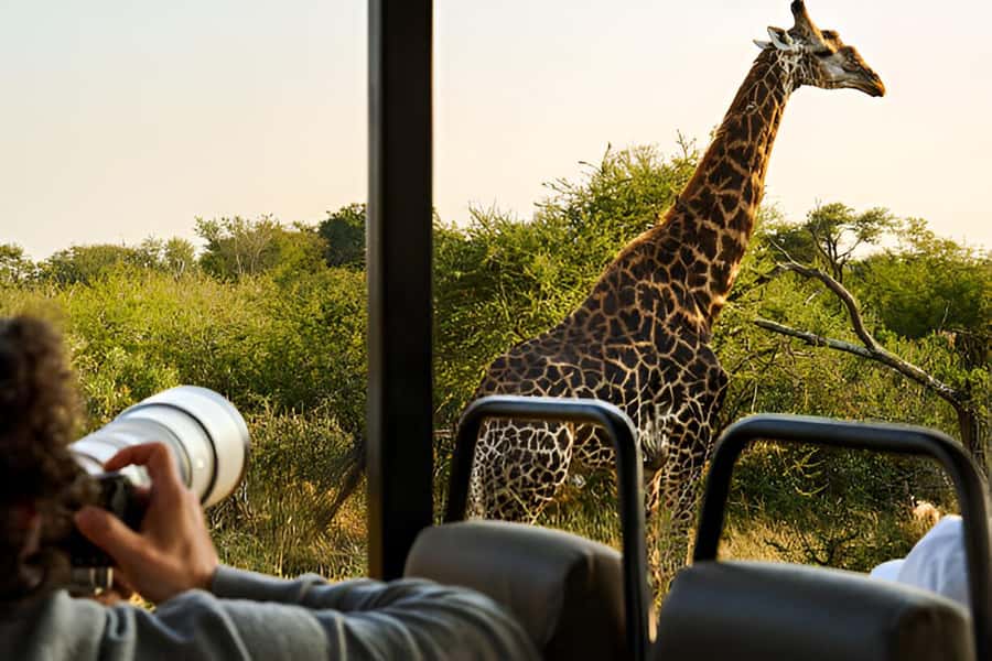 Full-Day Pilanesberg Safari from Sun City - Pickup From Sun City and the First Vehicle Change