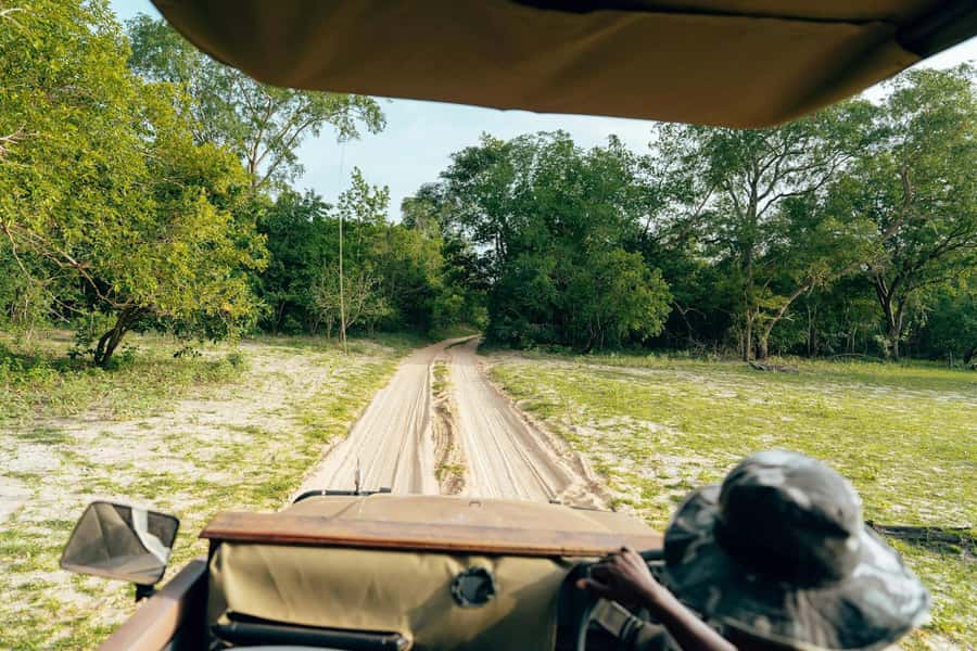 Full-Day Pilanesberg Safari from Sun City - The Three-Hour Morning Game Drive