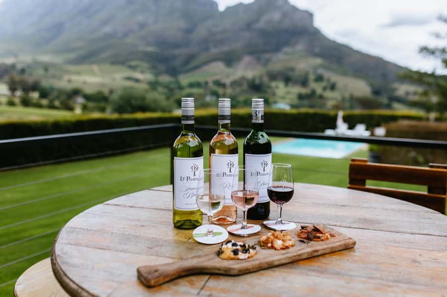 Full-Day Private: Best of the Cape - Chapman’s Peak, the scenic high point of the drive