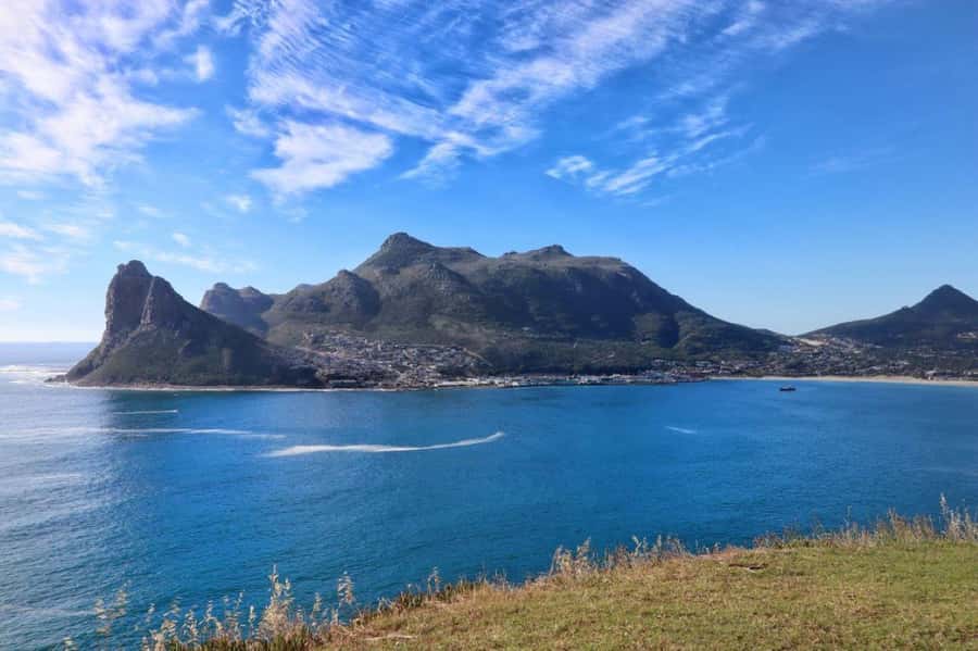 Full-Day Private: Best of the Cape - What the private guide adds