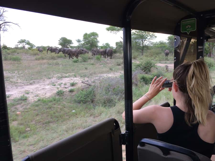Full-Day Private Big 5 Safari in Kruger National Park - Why the early start matters in Kruger
