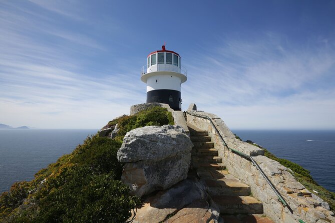 Full Day Private Cape Peninsula and Boulders Beach Tour - Chapman’s Peak Drive delivers the scenic highlight