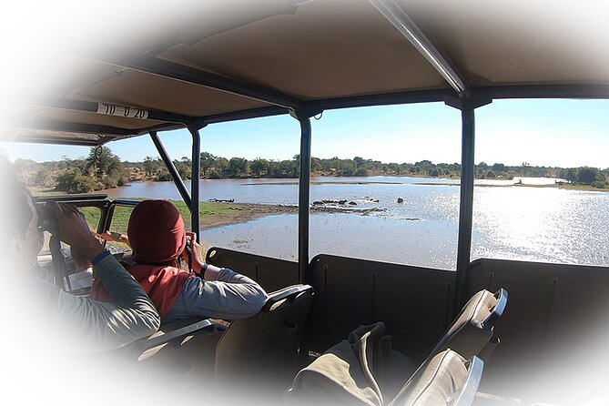 Full Day Private Kruger Park Safari - Morning wildlife viewing before the heat